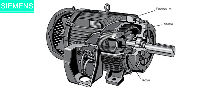 động cơ điện 3 pha siemens