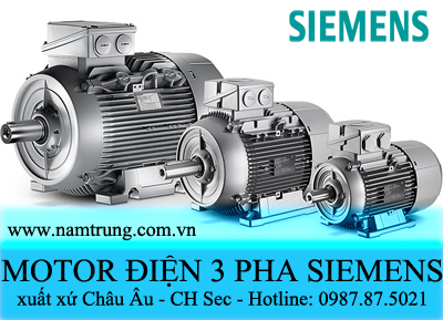 động cơ điện 3 pha siemens